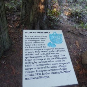 Human Presence