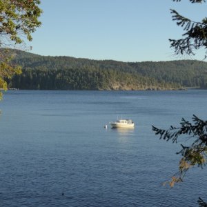 Media 'View of boat from the trail' in album 'After a Friday night aboard hoping to get an early start Saturday, but instead woke up to morning fog. Looks like Catman is heading out too!'