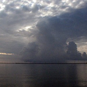 a small cell moving in