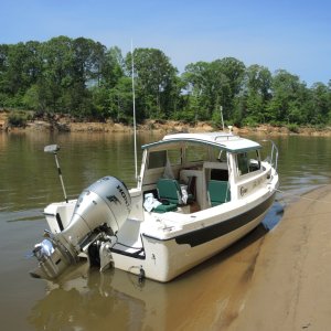 Media 'Black Warrior River trip 2017' in album 'Black Warrior River trip 2017'
