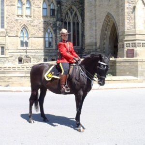 39.) Lady Mountie