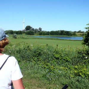 62.) Bike ride on Wolf Island to Marrysville and back to ferry