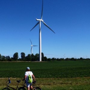 63.) Many wind generators on Wolf Island