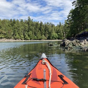 Paddling around the bay
