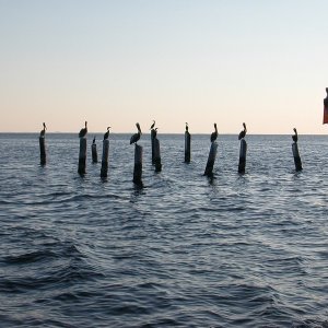 Nautical rest stop...