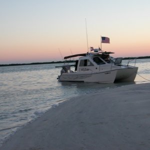 Media '(Molly Brown) Tidal Paradise' in album 'Molly's new home!'
