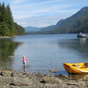 Forward Harbor