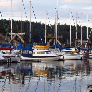 Friday harbor on the return