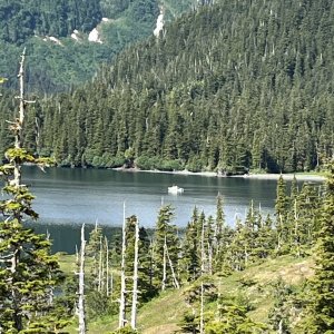 Anchored at head of Eaglet Bay