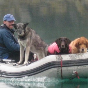 Media 'Tom, Nellie, Abby, max' in album 'Ling Cod'