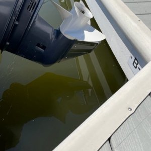 Stainless Steel Skeg for protection