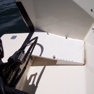 Level step and generator stand in splash well