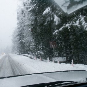 (Da Nag) Sequim State Park in January