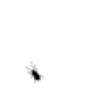 Bug