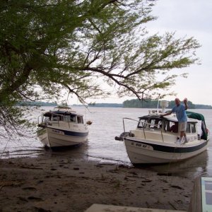 Media 'Bixby\'s Cub in the Mississippi, Pelican in the Missouri' in album 'Bixby's Cub'