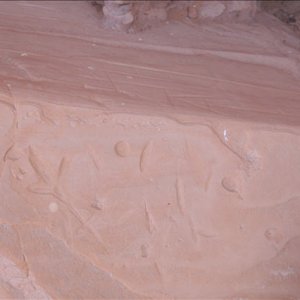 IMG 2573