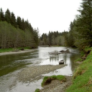exploring lisianski river with mokai