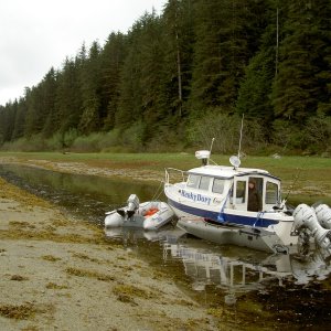 lisianski inlet shallow water
