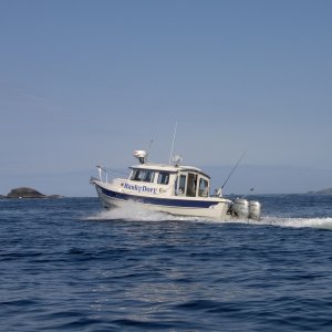 west coast chichagof island