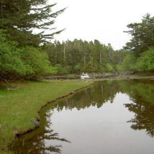 view back from checking tracks of large bear in area hit rock sister lake