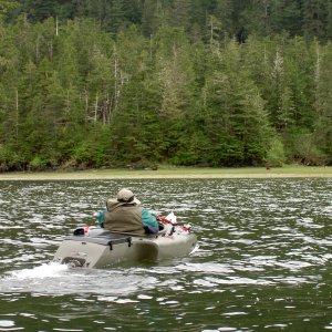 headed toward two bears in mokai