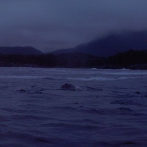 very early morning exit of dry pass into open ocean and pod of grey whales