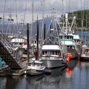 elfin cove transiet dock--around the bigger boys sometimes it pays to be small