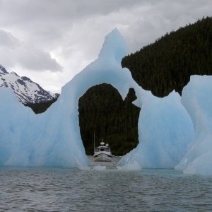 looking through the ice apple
