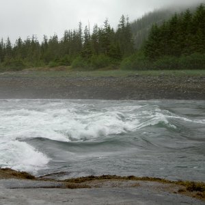 Media 'Fords Terror ebb rapids we ran by mistake in 2004.' in album 'black bear cub rolling rocks'