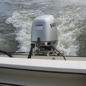 Boat Oct. 2008 020