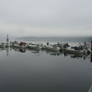 C-Dory Convention 2.jpg