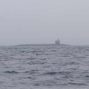 PA020001.JPG