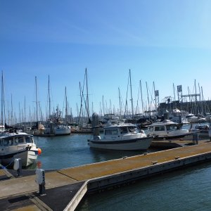 DSCF0169