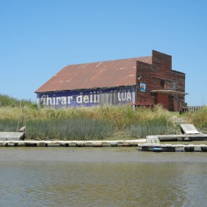 DSCN0292