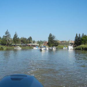 DSCN0303