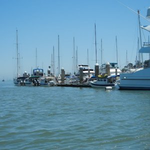 DSCN0316