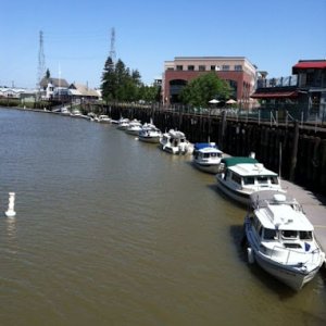 photo-1