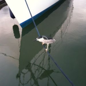 photo-2