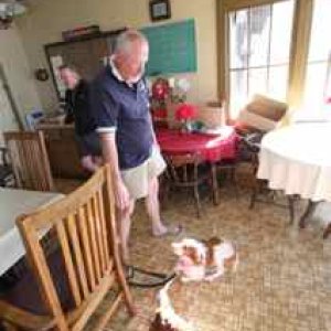 IMG 4258