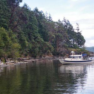 IMGP3780