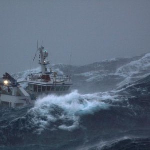 Media '' in album 'Heavy Seas Boating'
