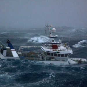 Media '' in album 'Heavy Seas Boating'
