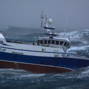 Media '' in album 'Heavy Seas Boating'