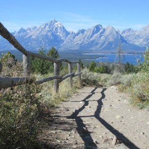 Media 'Signal Mountain Lookout' in album 'Jackson Lake, Tetons National Park'