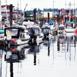 C-dories Comox 2