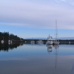 IMG 5864