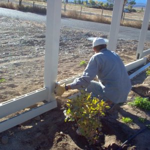 Media 'Brent installing vinyl fence' in album 'Garage foundations and floor'