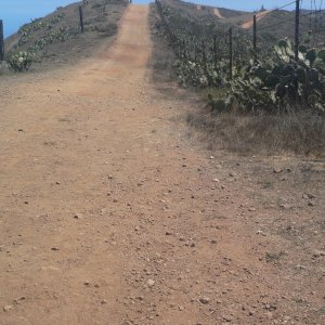 Trail on top of the 1000' mountain west of Twin Harbors
