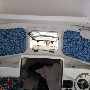 Media 'window covers' in album 'electric C-Dory under construction'