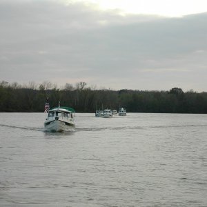 The flotilla...